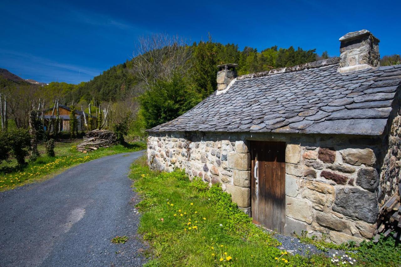 La Dormeuse Du Val Villa Шамбон-сюр-Лак Екстериор снимка