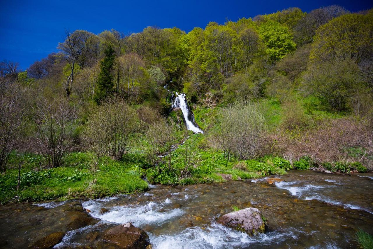 La Dormeuse Du Val Villa Шамбон-сюр-Лак Екстериор снимка